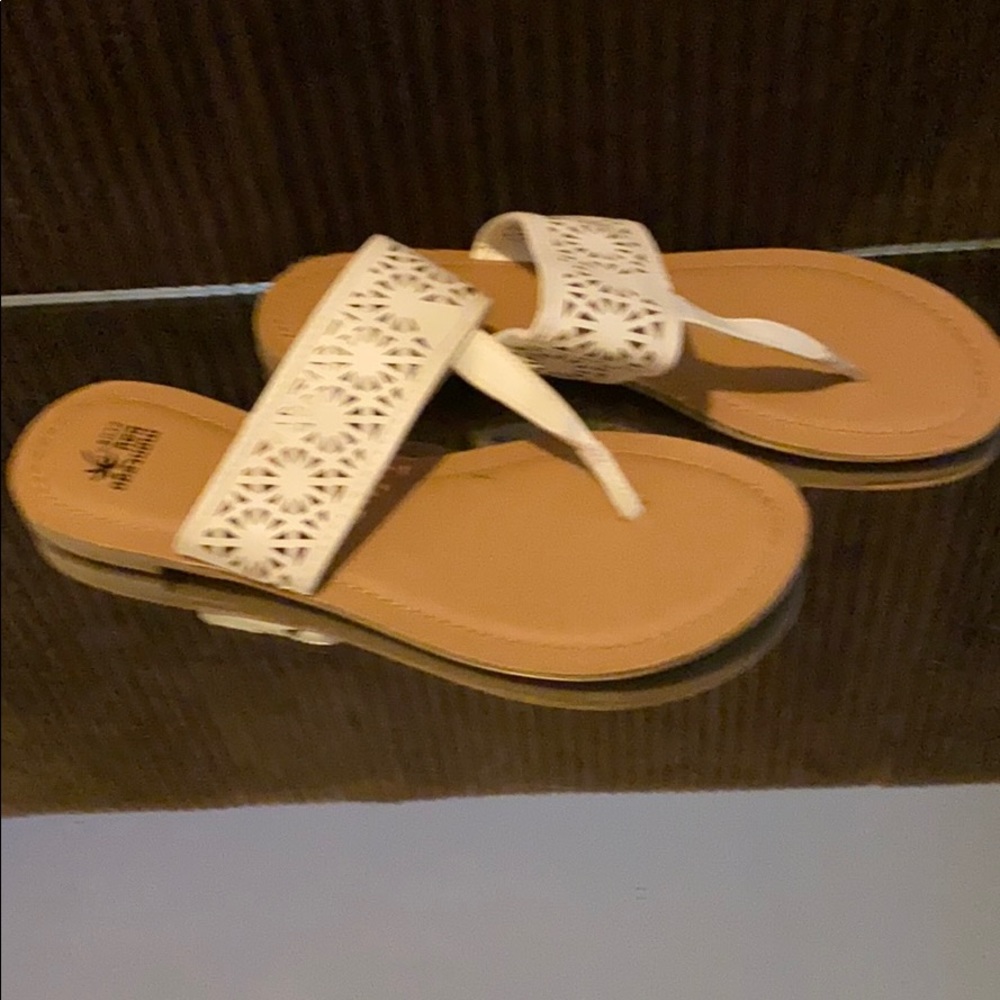 Montgomery Bay Sanders